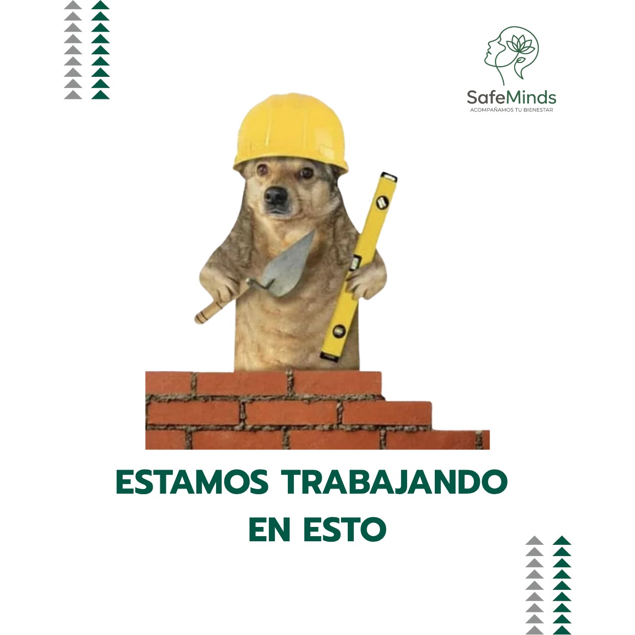 SafeMinds | Salud Mental & Bienestar
